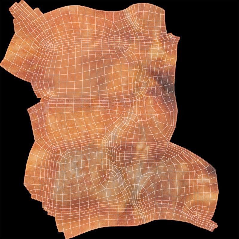 Red Veiny Meat Fondue 3 Low-poly 3D model_14