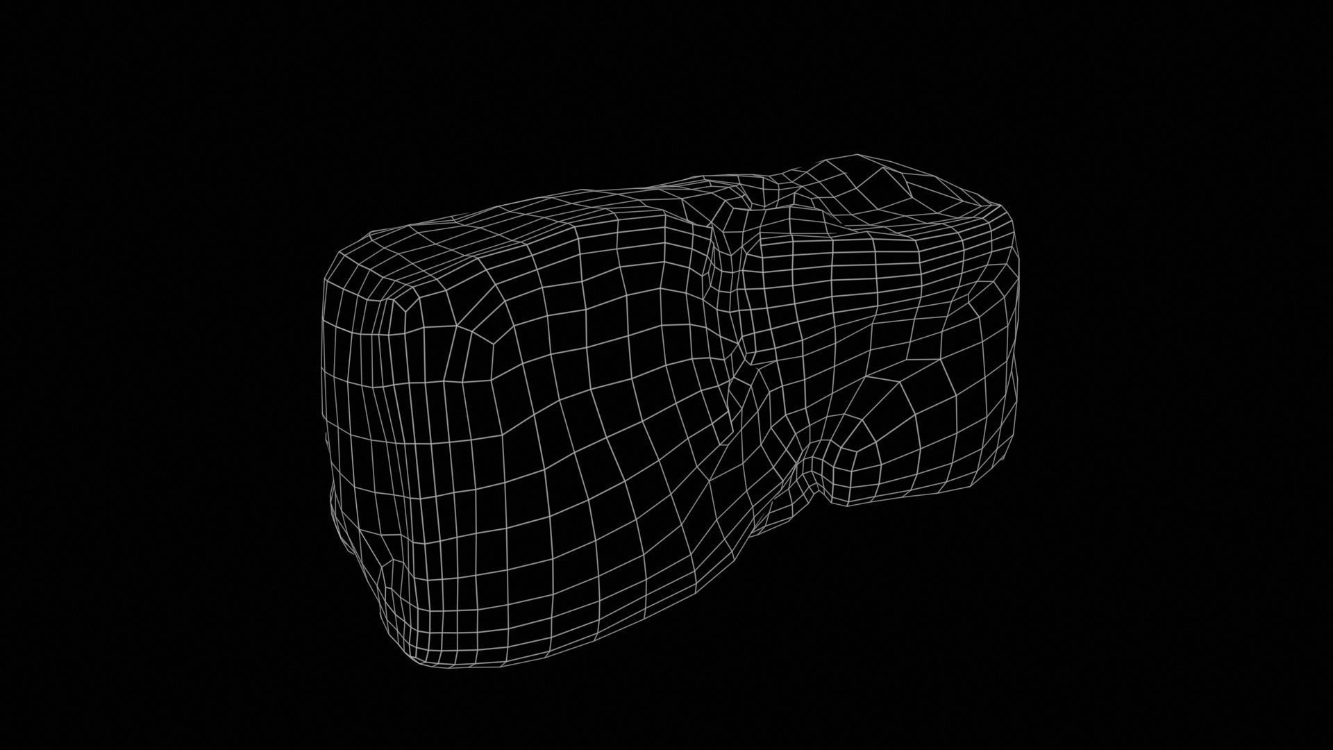 Red Veiny Meat Fondue 3 Low-poly 3D model_11