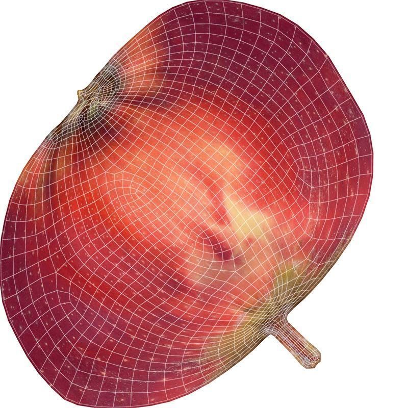 Apple Low-poly 3D model_14