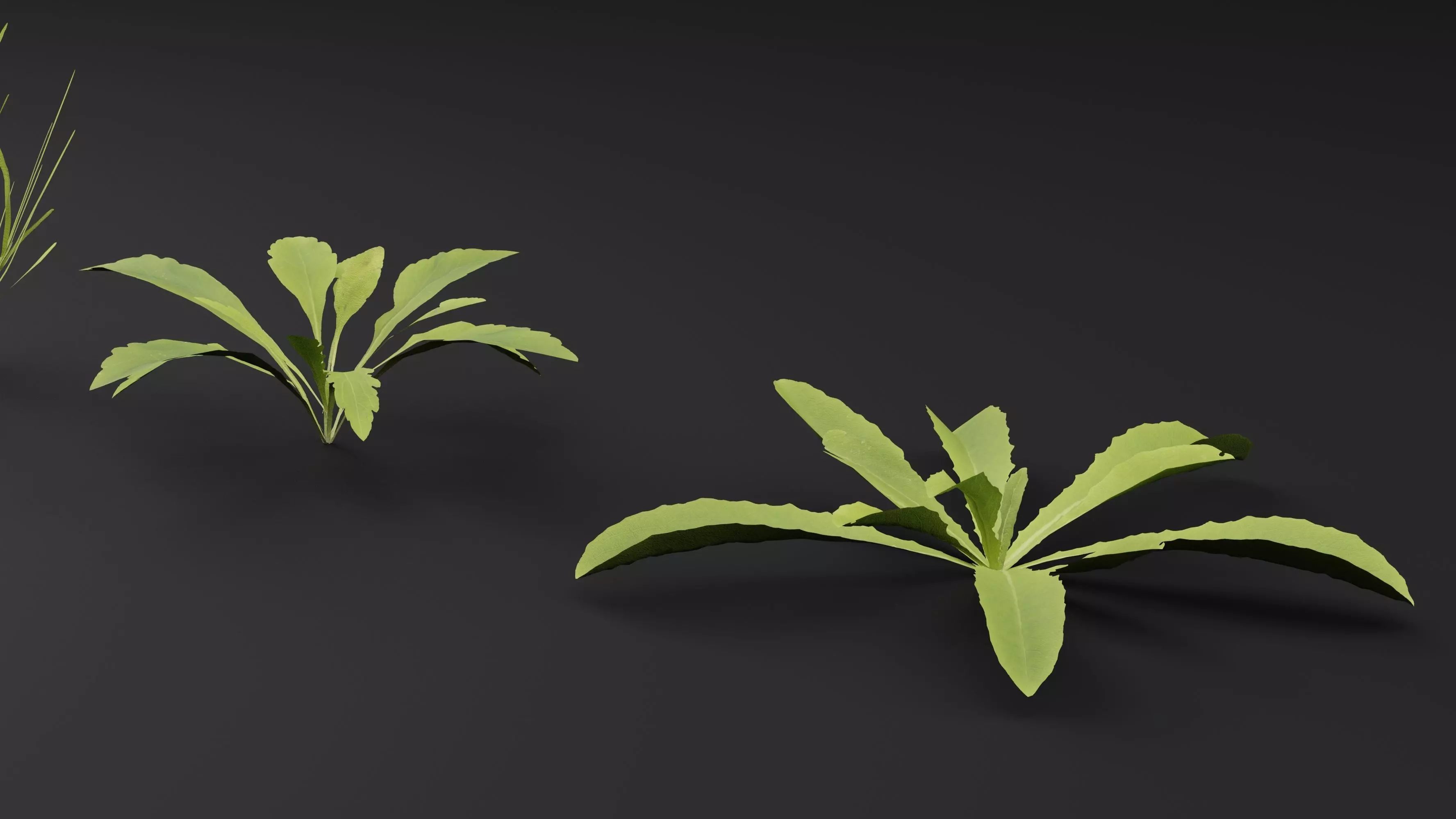 Curbside Weeds 3D model_0
