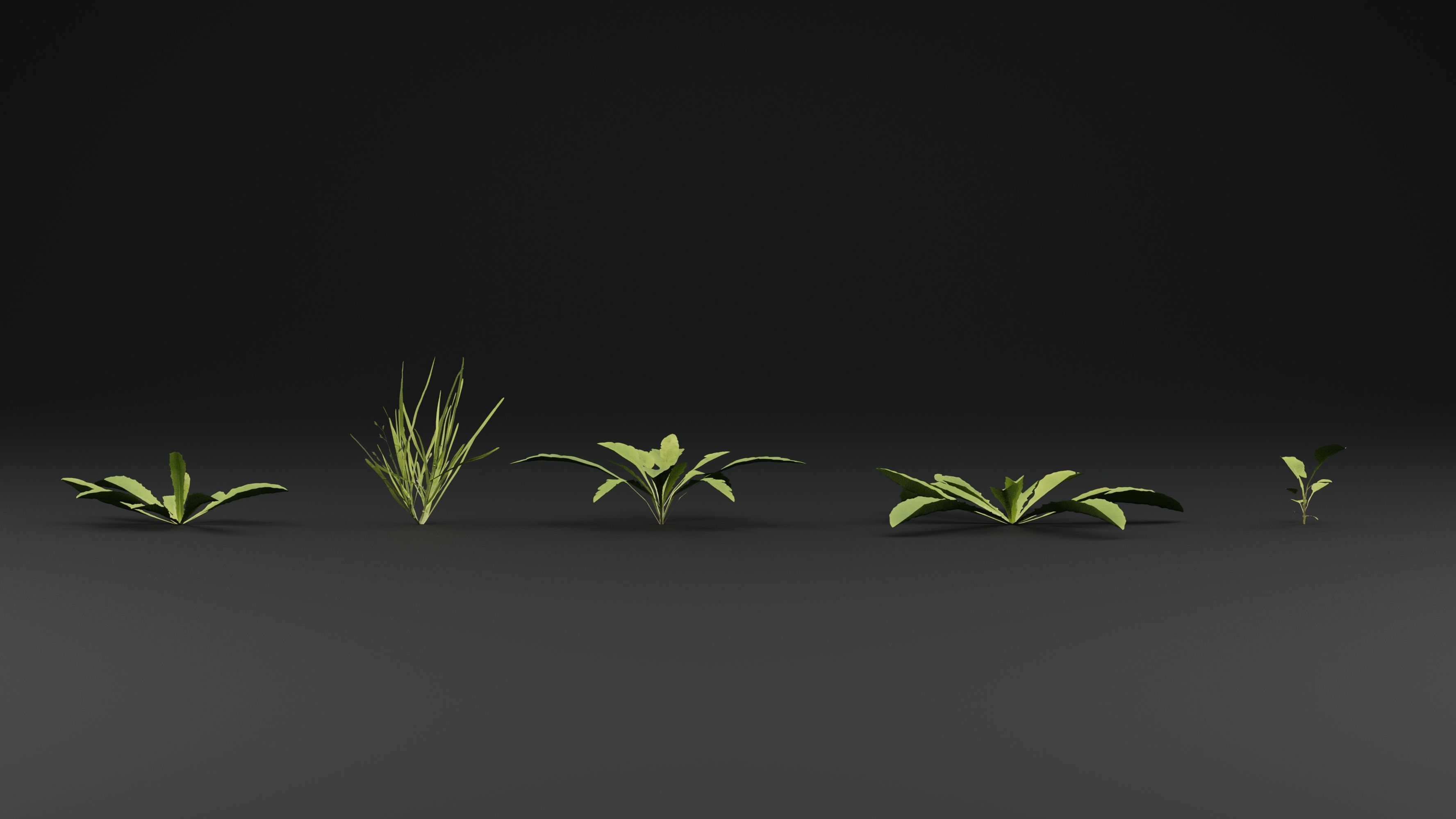 Curbside Weeds 3D model_1