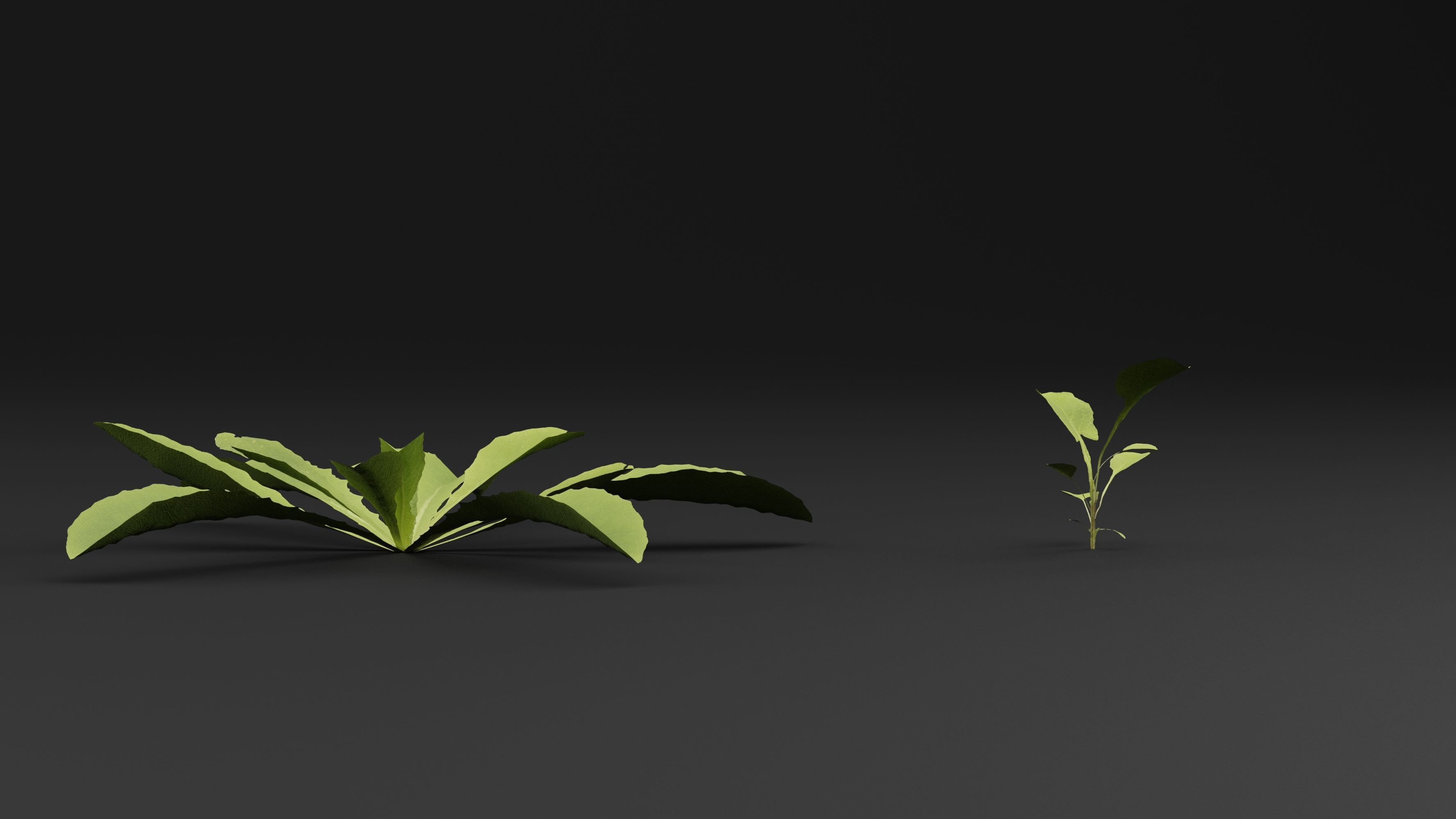 Curbside Weeds 3D model_2