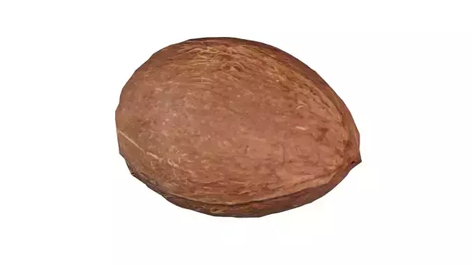 Coconut Low-poly 3D model