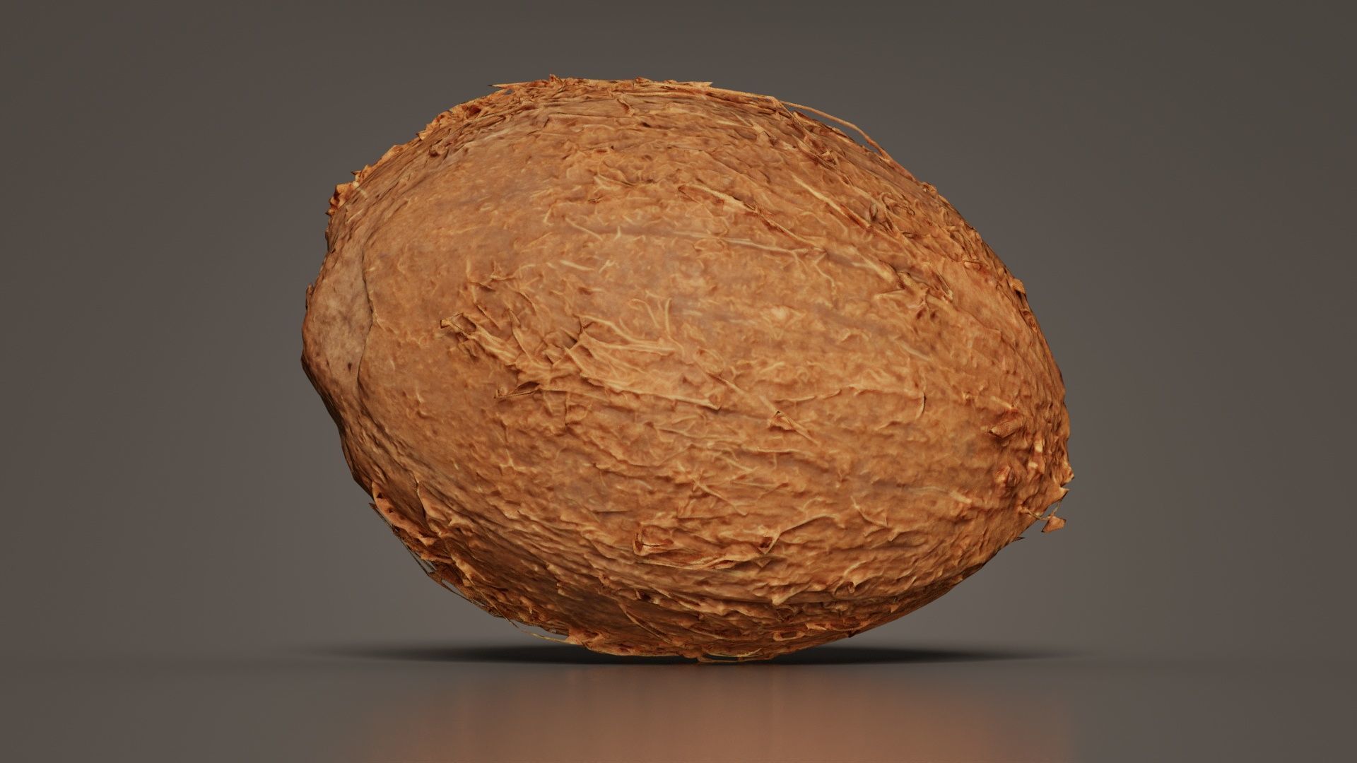 Coconut 2 Low-poly 3D model_3