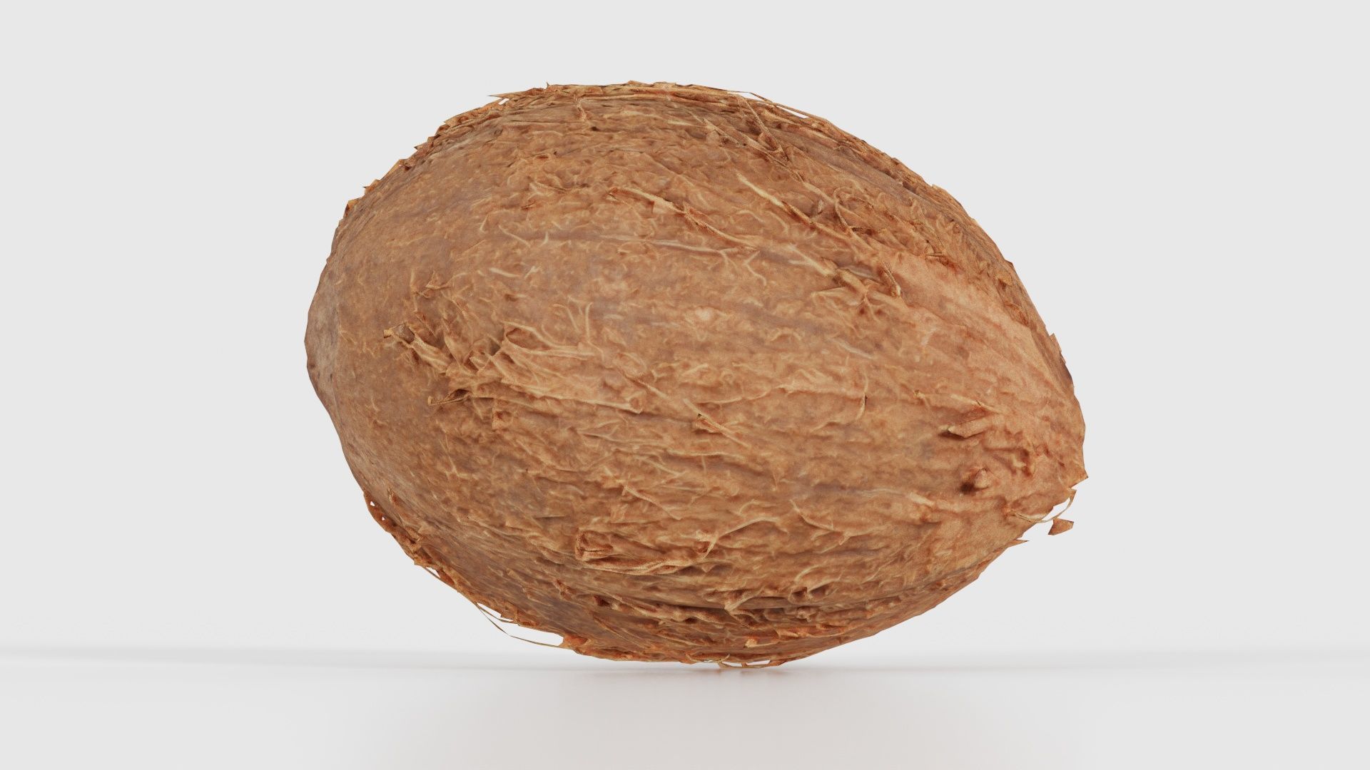 Coconut 2 Low-poly 3D model_16