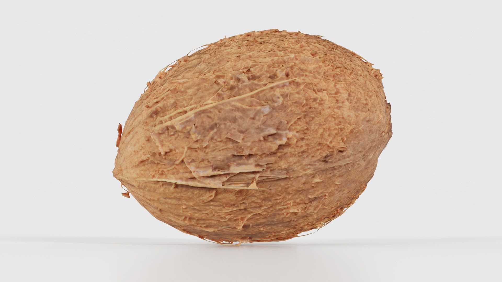 Coconut 2 Low-poly 3D model_22