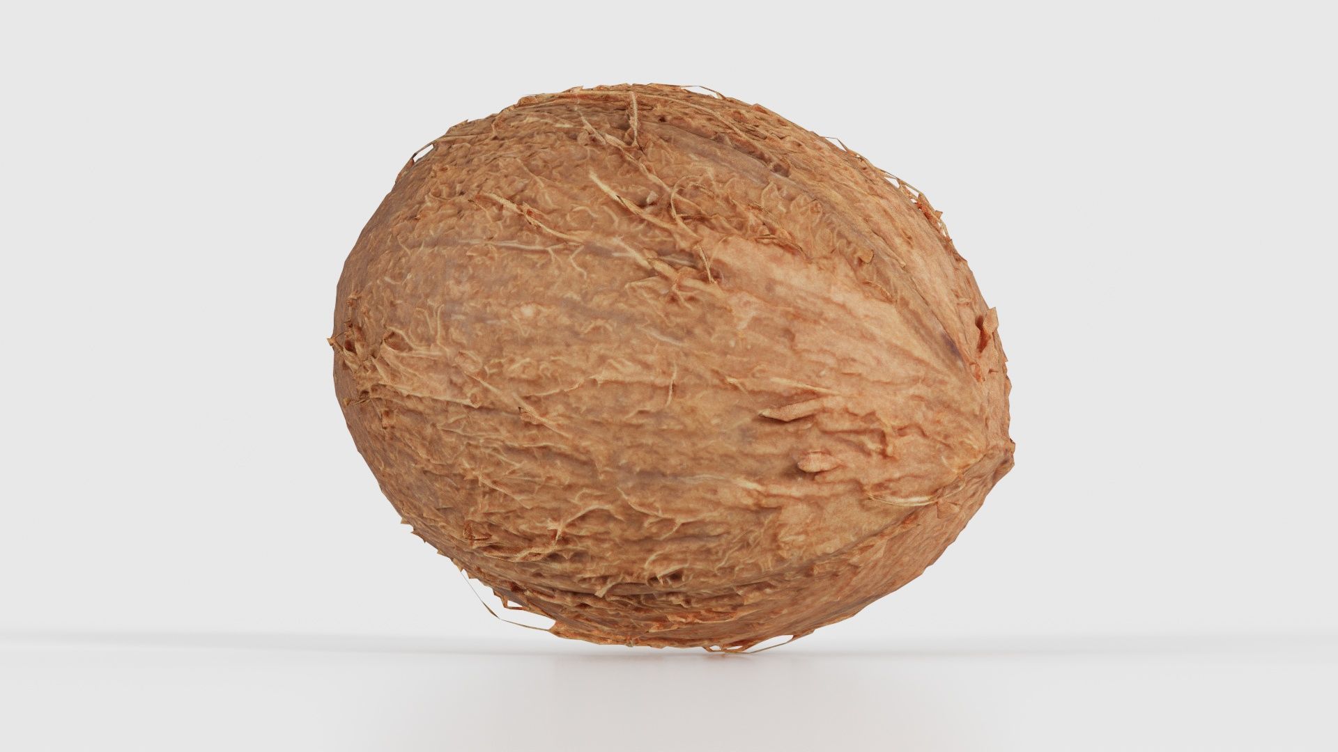 Coconut 2 Low-poly 3D model_15
