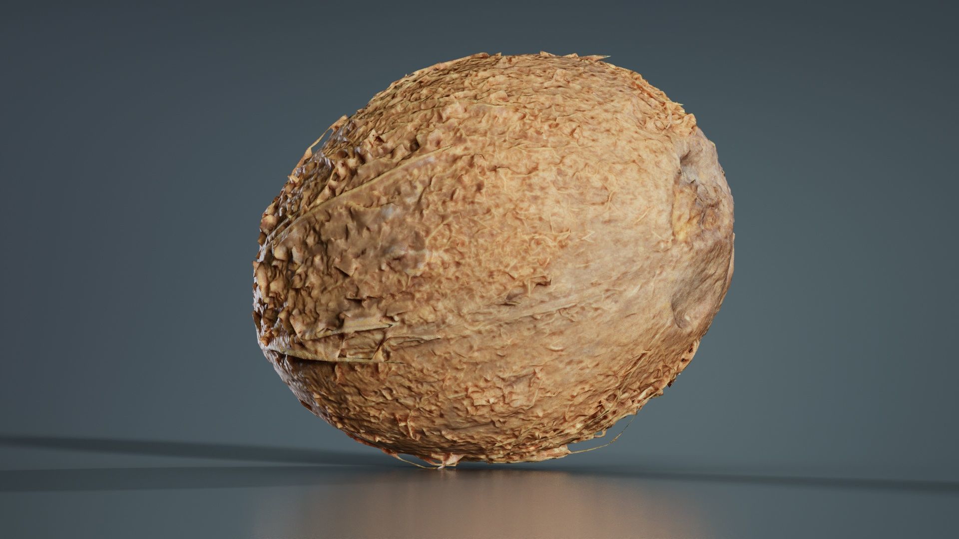 Coconut 2 Low-poly 3D model_4