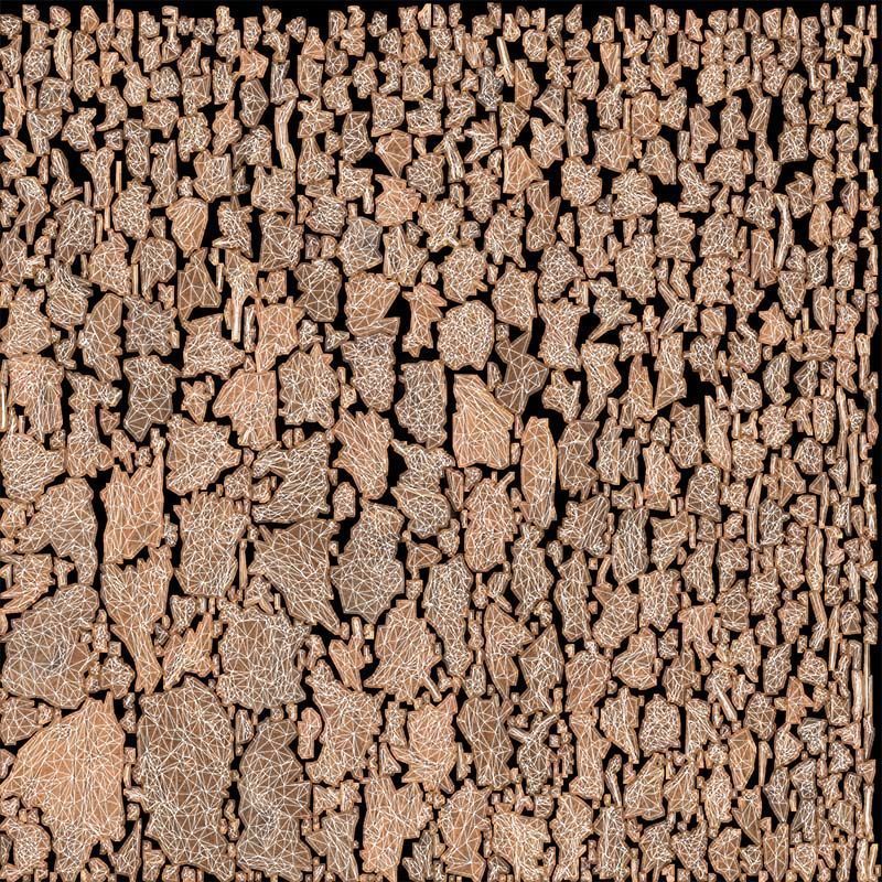 Coconut 2 Low-poly 3D model_14