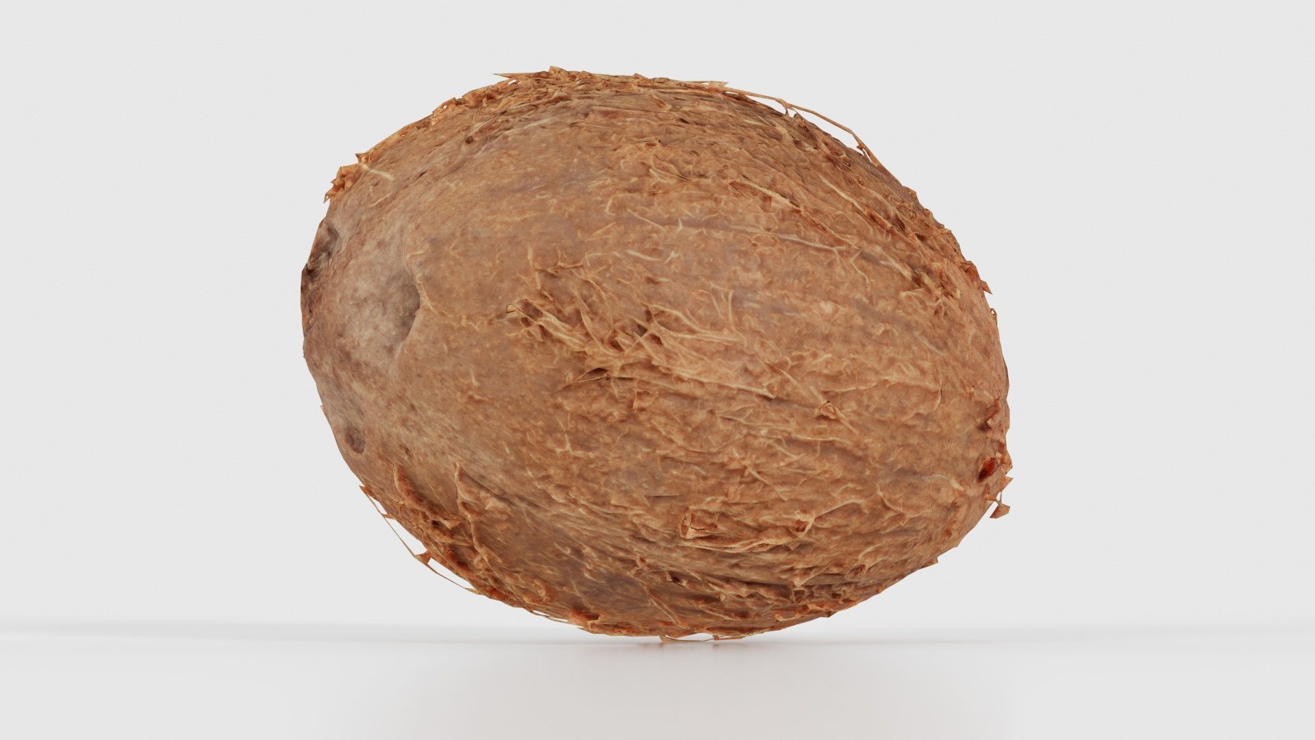 Coconut 2 Low-poly 3D model_17