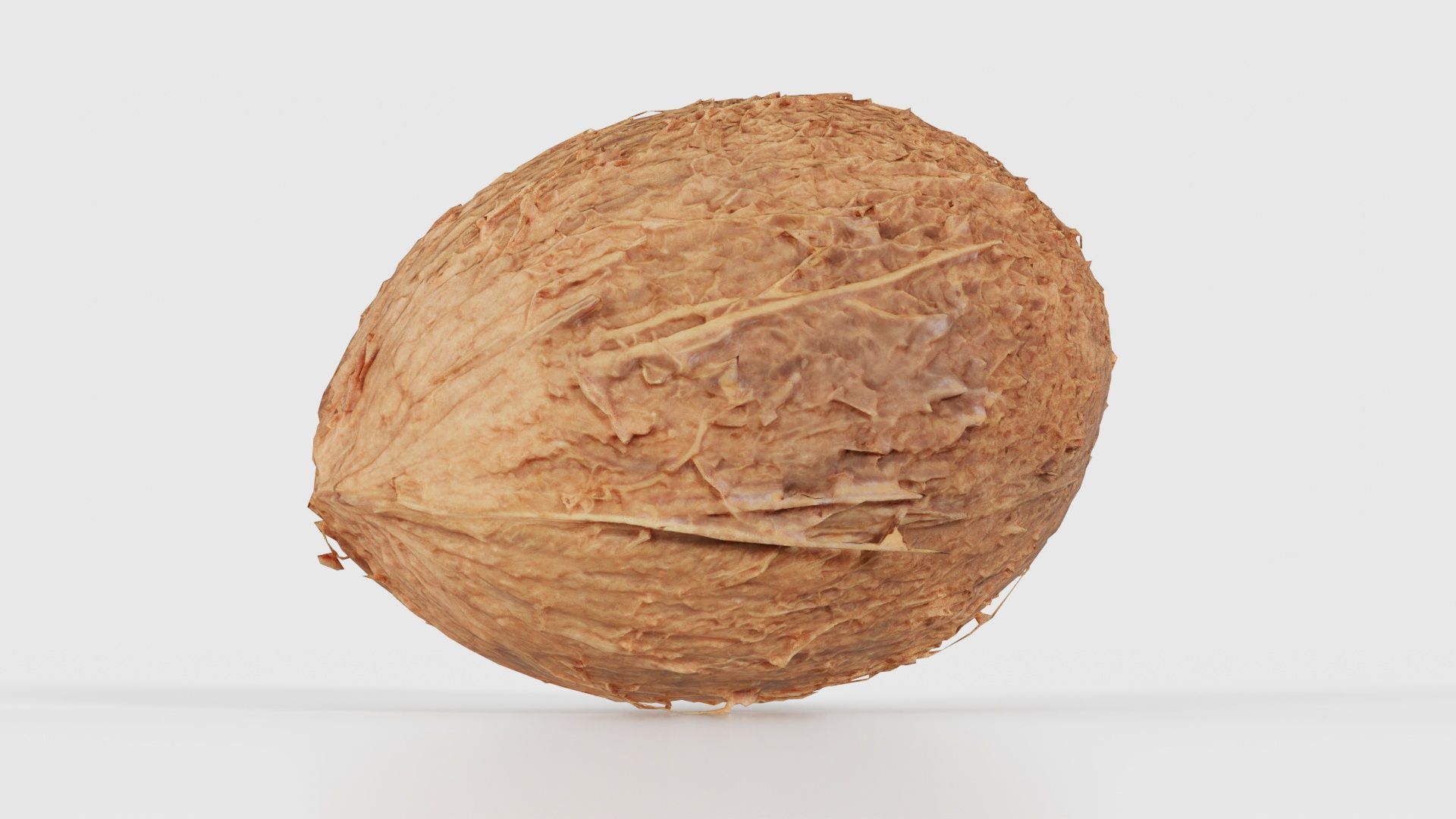 Coconut 2 Low-poly 3D model_23