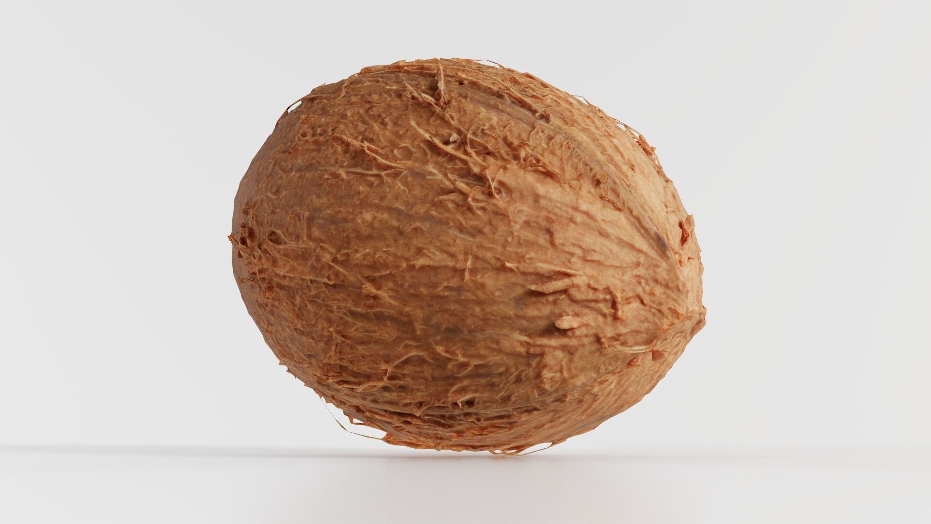 Coconut 2 Low-poly 3D model_1