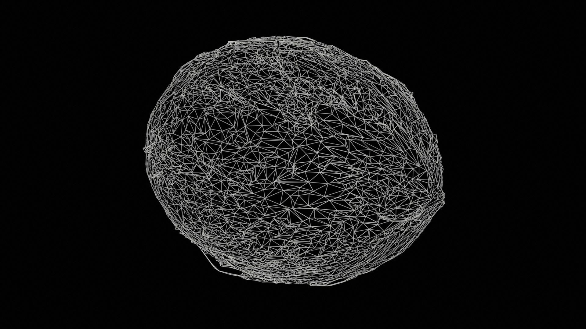 Coconut 2 Low-poly 3D model_11