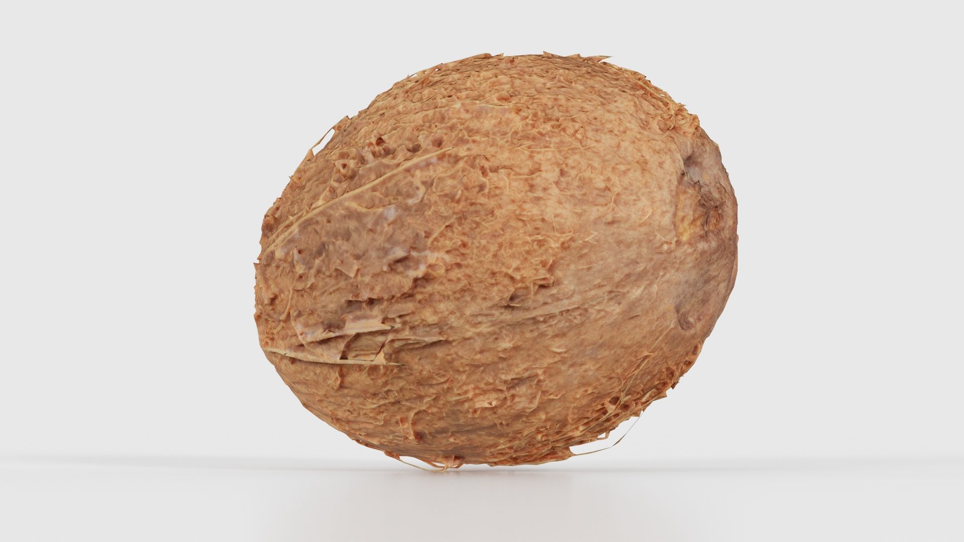 Coconut 2 Low-poly 3D model_21