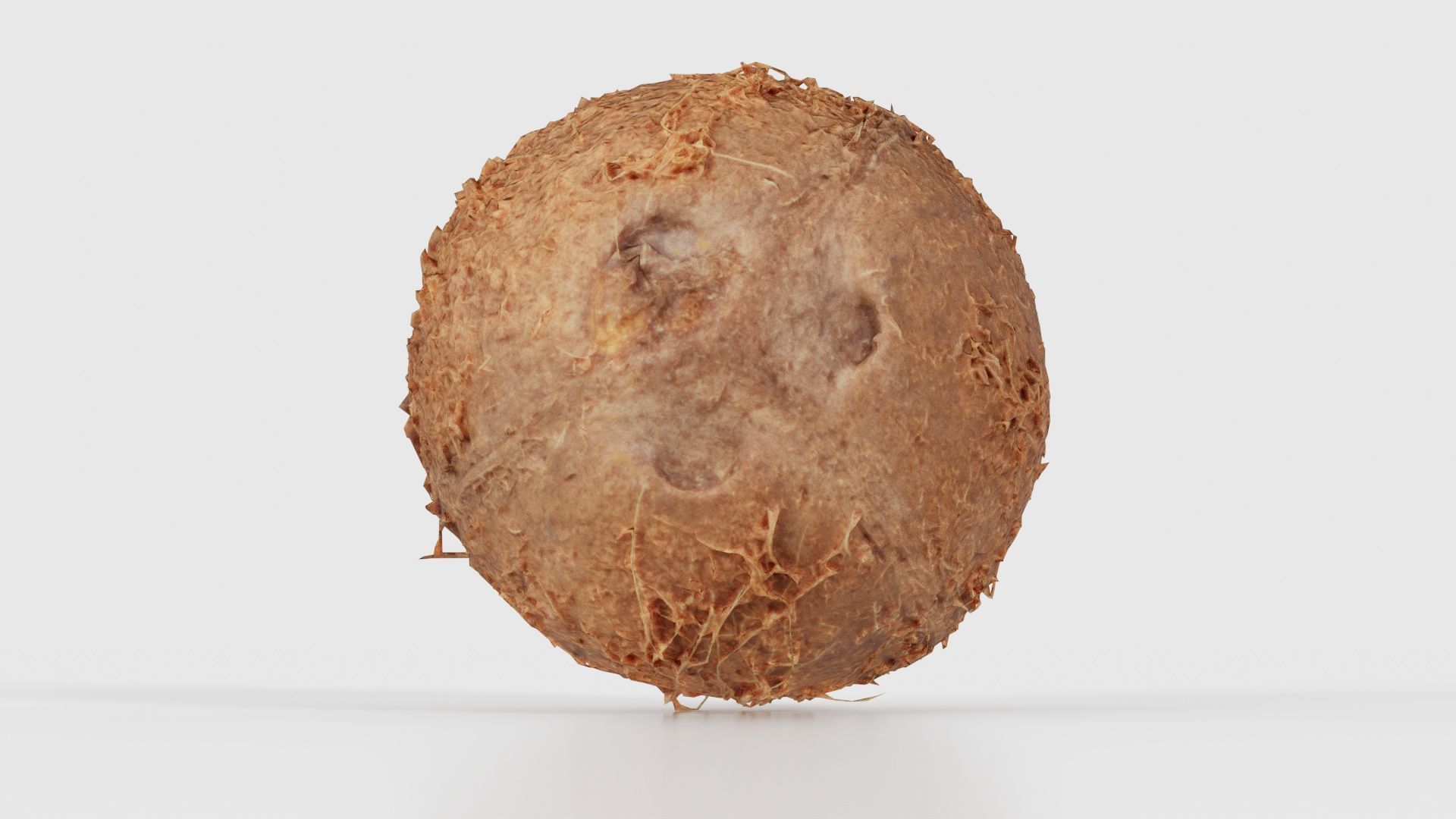 Coconut 2 Low-poly 3D model_19