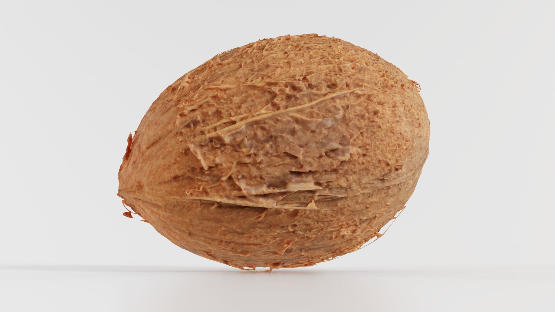 Coconut 2 Low-poly 3D model_8
