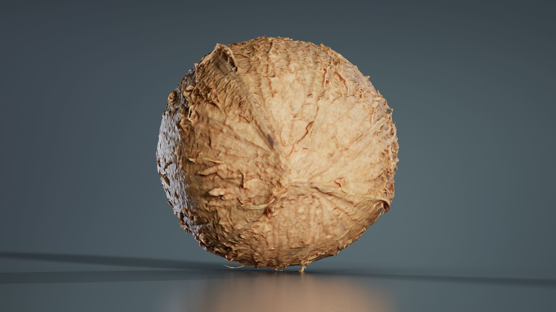 Coconut 2 Low-poly 3D model_5
