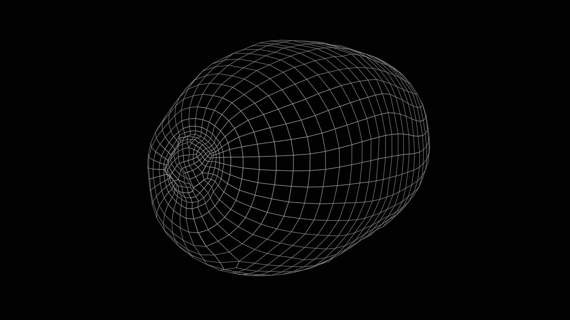 Kiwi Low-poly 3D model_11