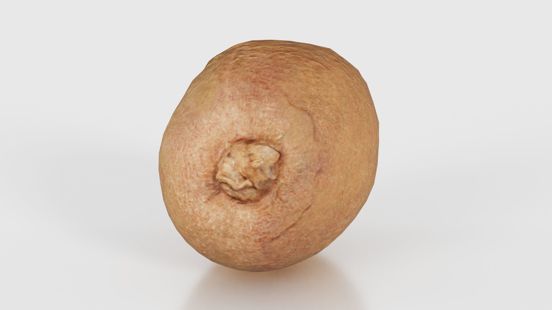 Kiwi Low-poly 3D model_16