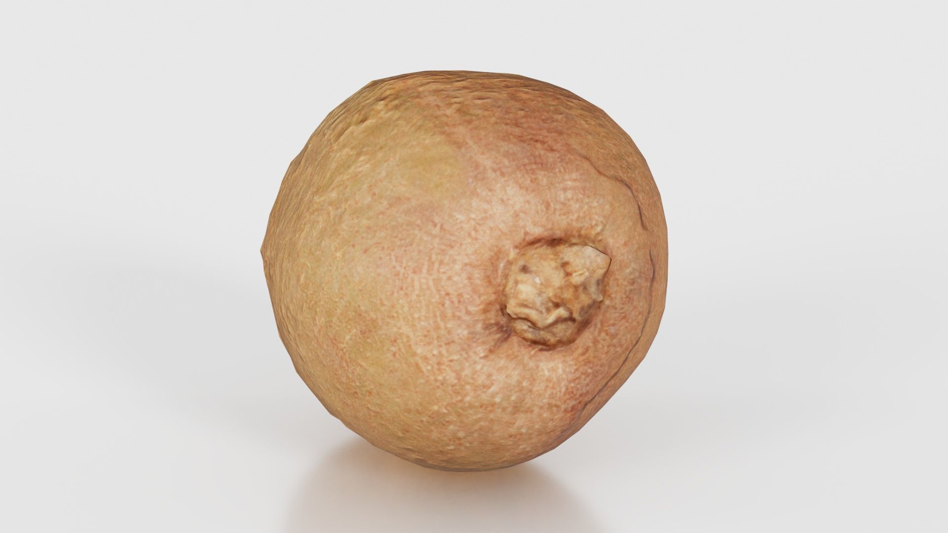 Kiwi Low-poly 3D model_17