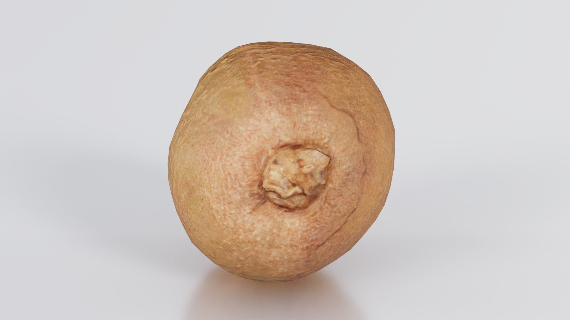 Kiwi Low-poly 3D model_8