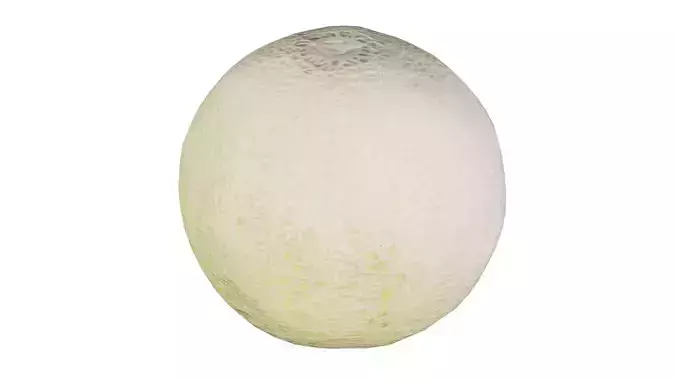 Melon