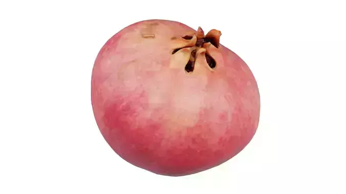 Pomegranate