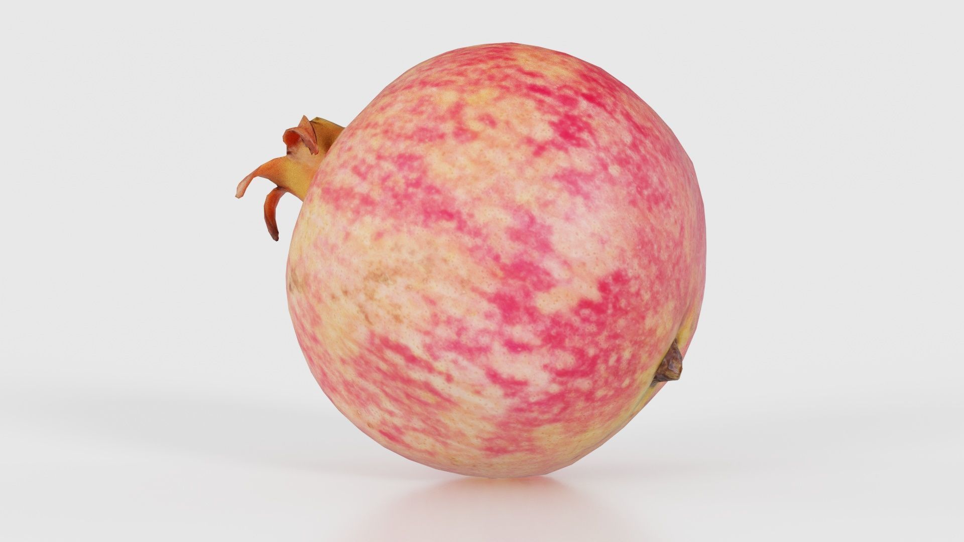 Pomegranate 2 Low-poly 3D model_15