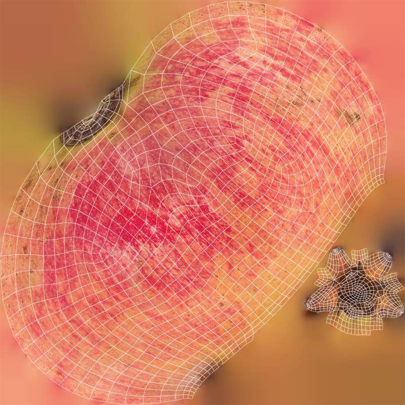 Pomegranate 2 Low-poly 3D model_14