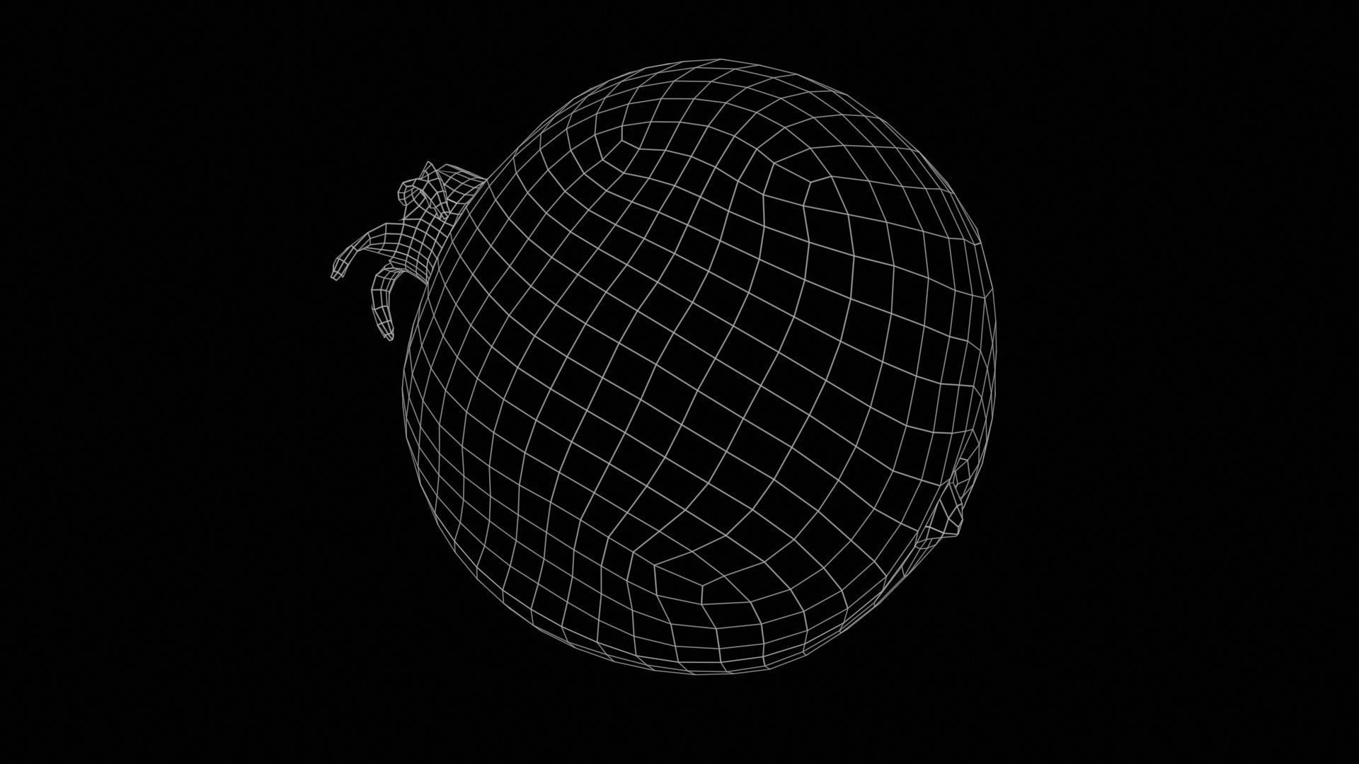 Pomegranate 2 Low-poly 3D model_11