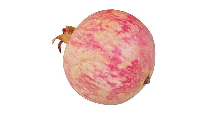 Pomegranate 2 Low-poly 3D model