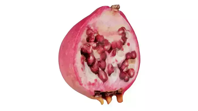 Pomegranate Half 1