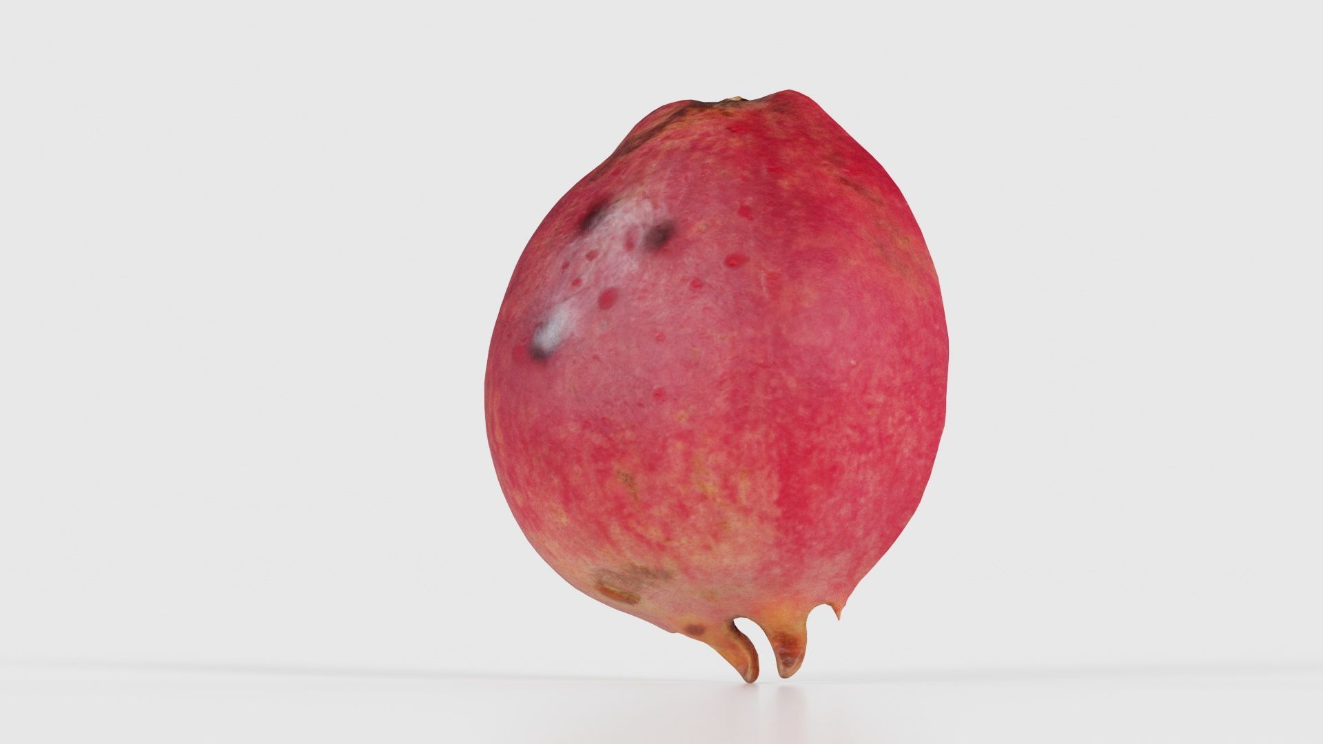 Pomegranate Half 2 Low-poly 3D model_20