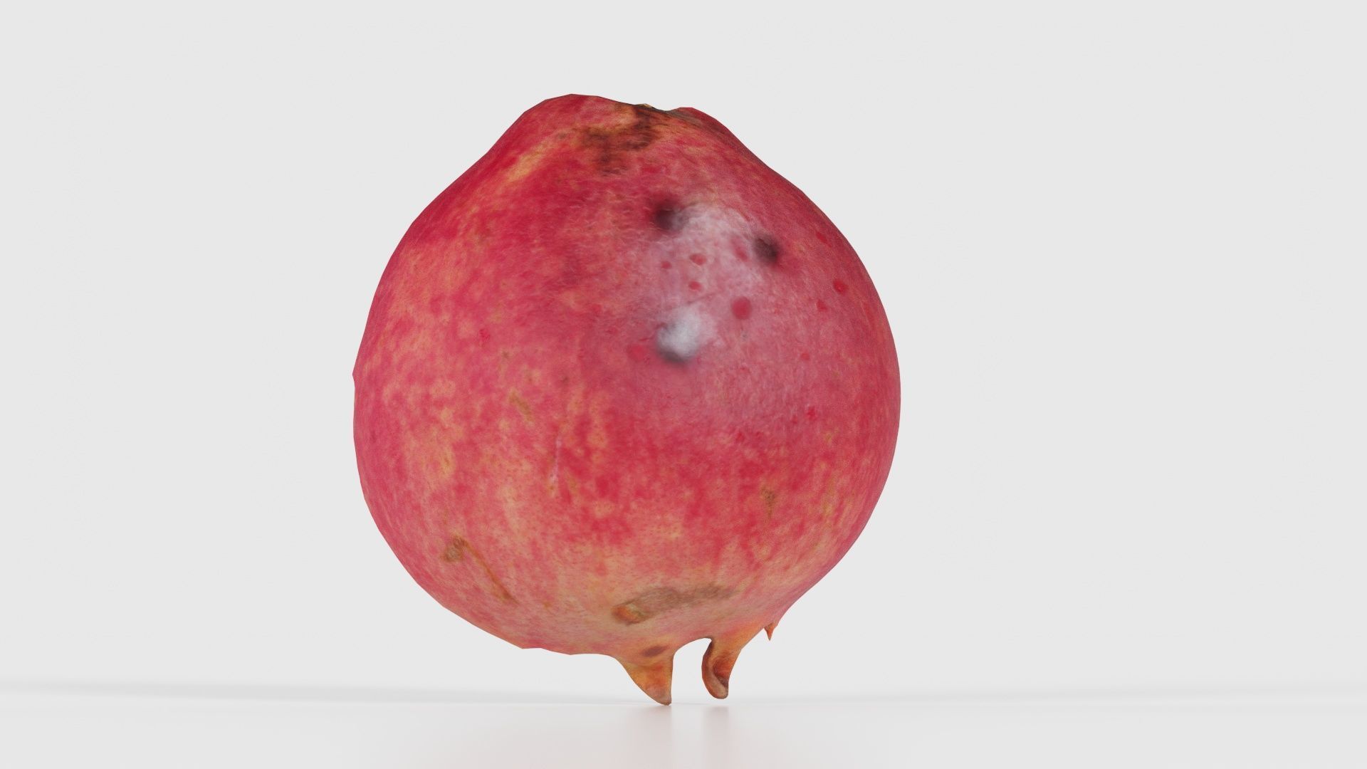 Pomegranate Half 2 Low-poly 3D model_22