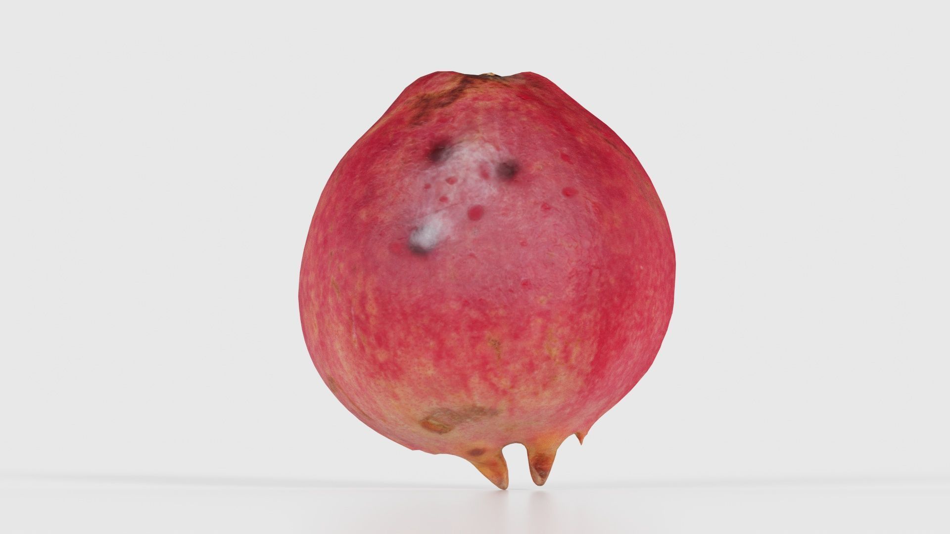 Pomegranate Half 2 Low-poly 3D model_21