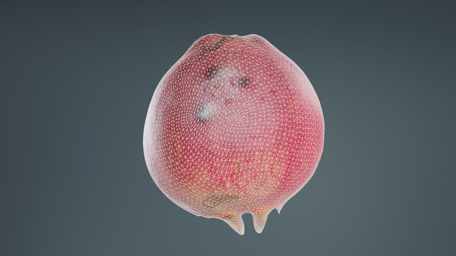 Pomegranate Half 2 Low-poly 3D model_10