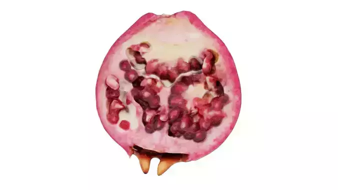 Pomegranate Half 2