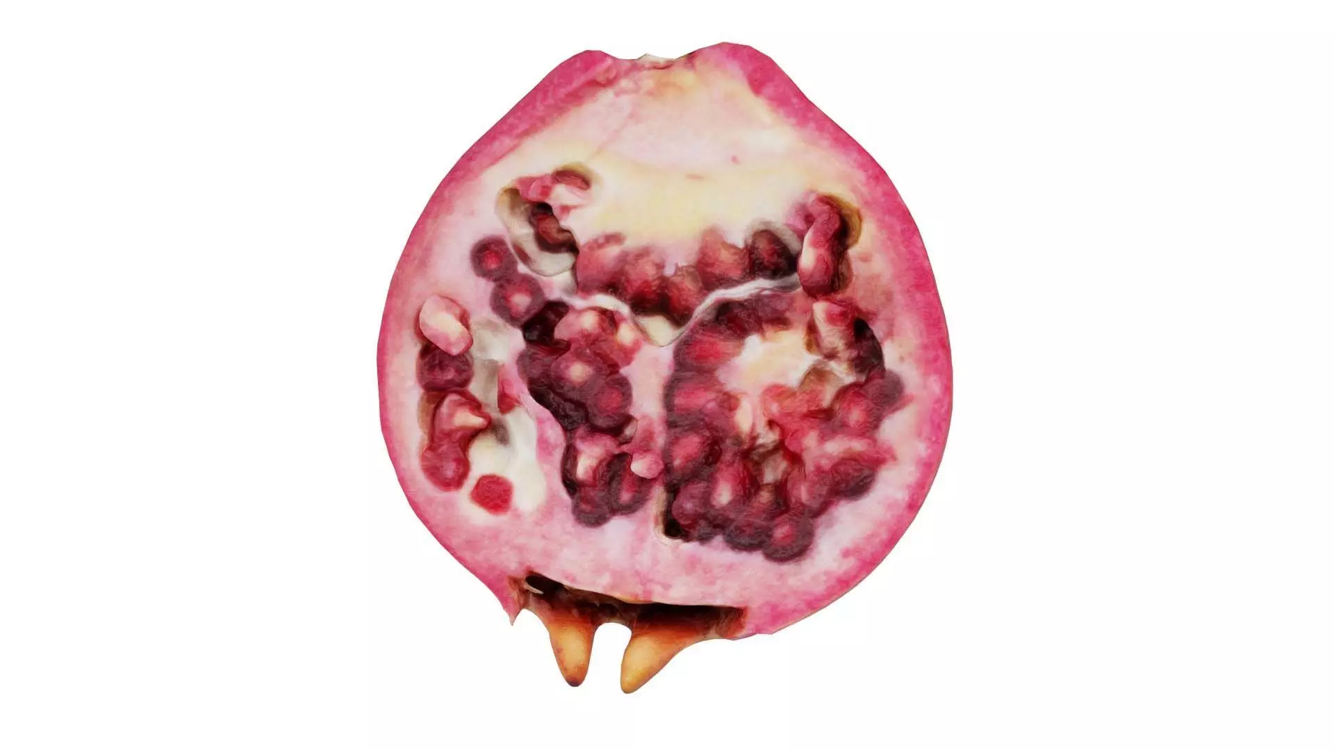 Pomegranate Half 2 Low-poly 3D model_0