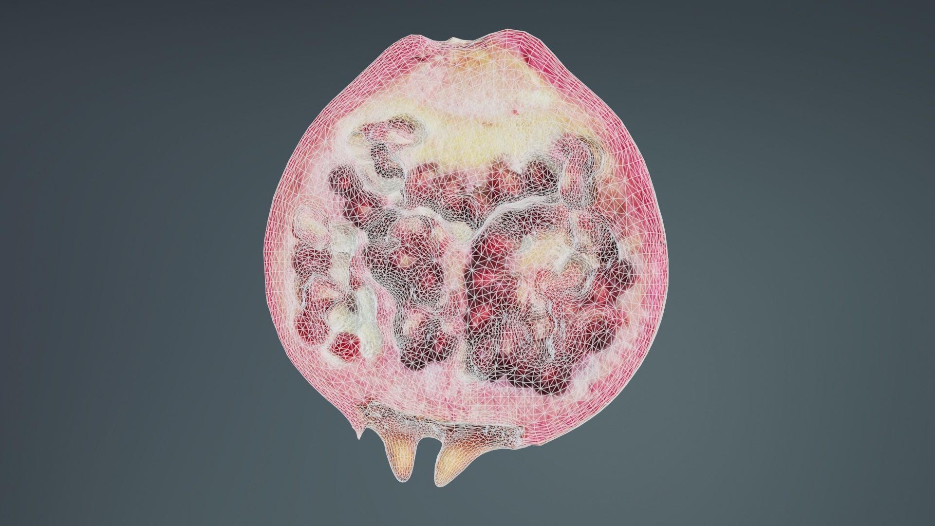 Pomegranate Half 2 Low-poly 3D model_9