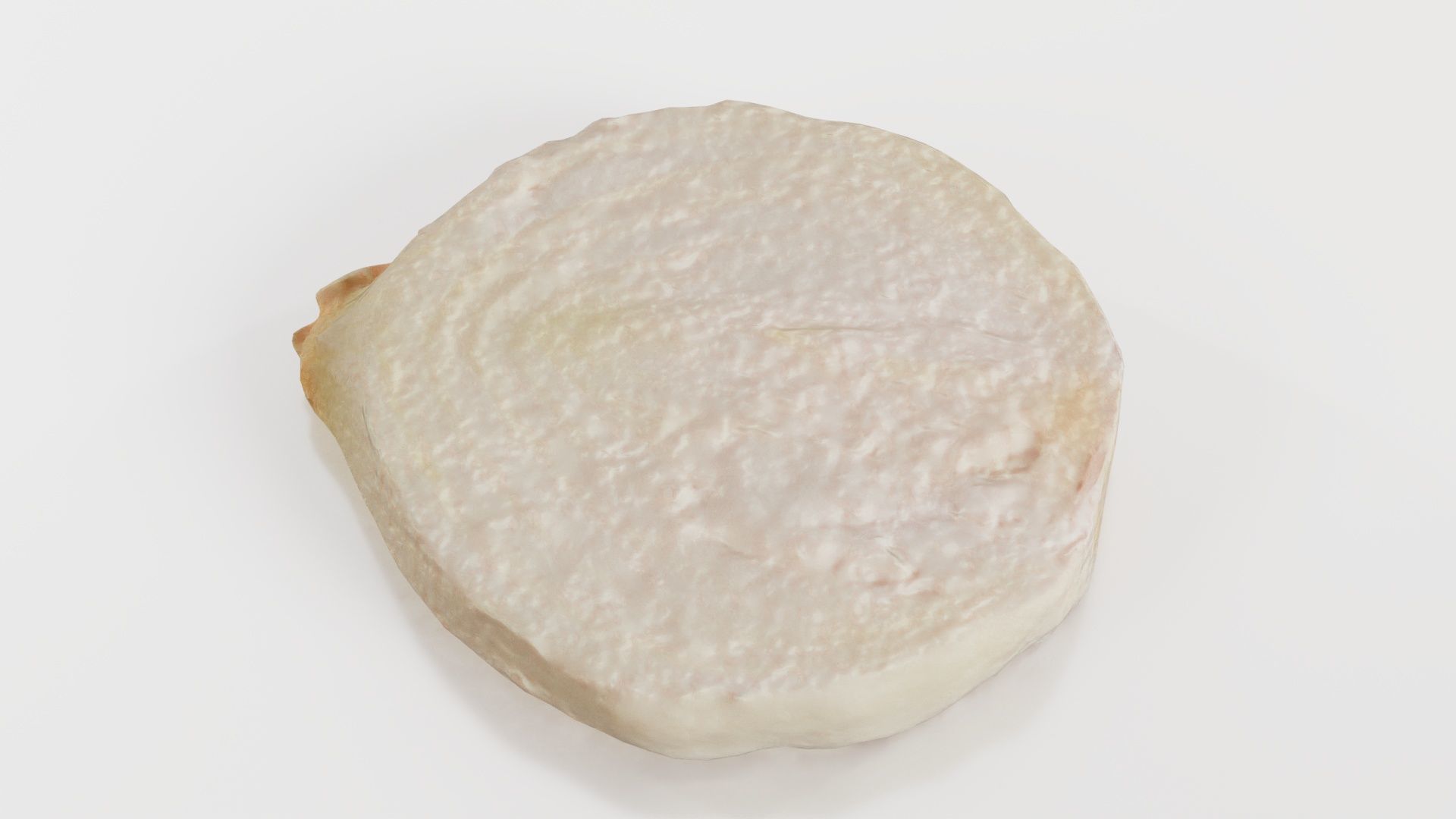 Onion Slice Low-poly 3D model_4