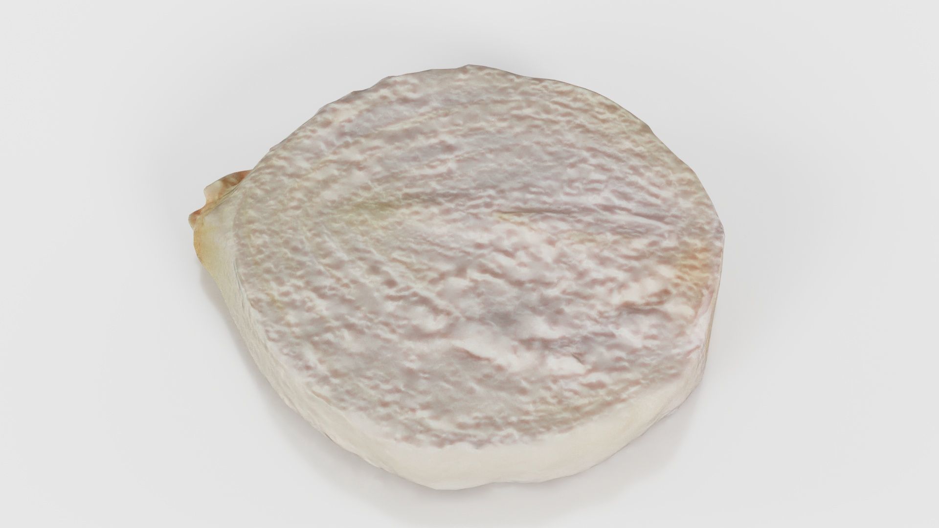 Onion Slice Low-poly 3D model_18