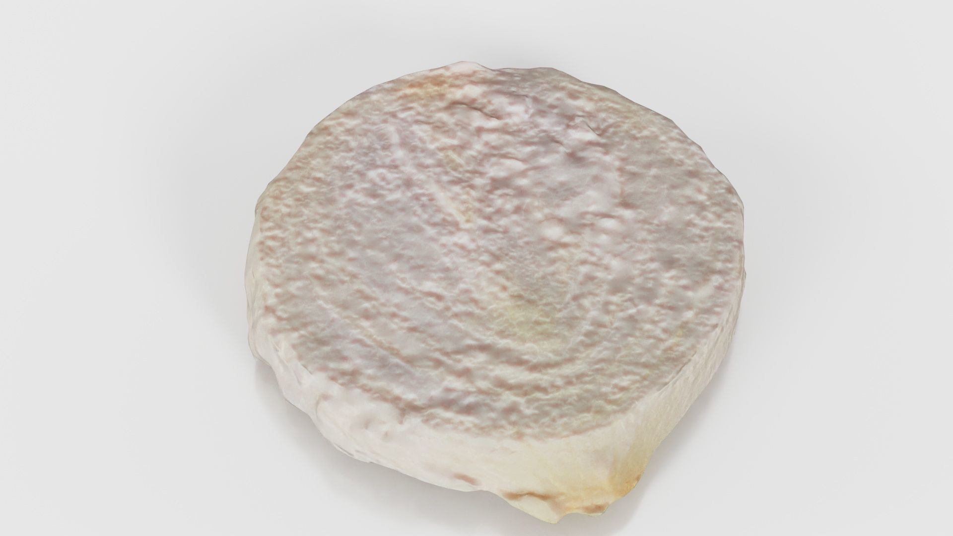 Onion Slice Low-poly 3D model_22