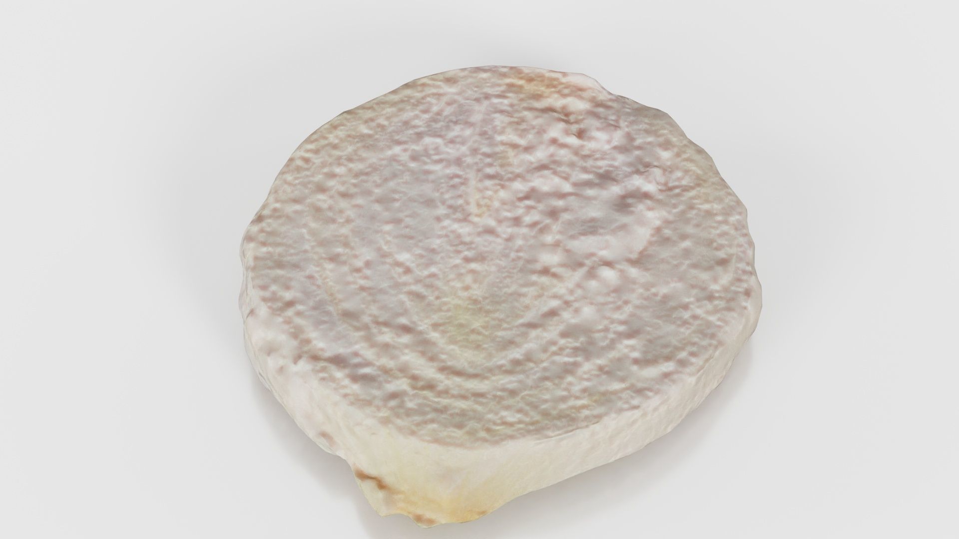 Onion Slice Low-poly 3D model_21