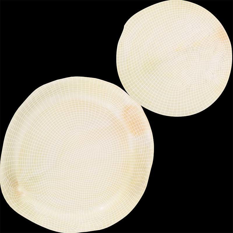 Onion Slice Low-poly 3D model_14