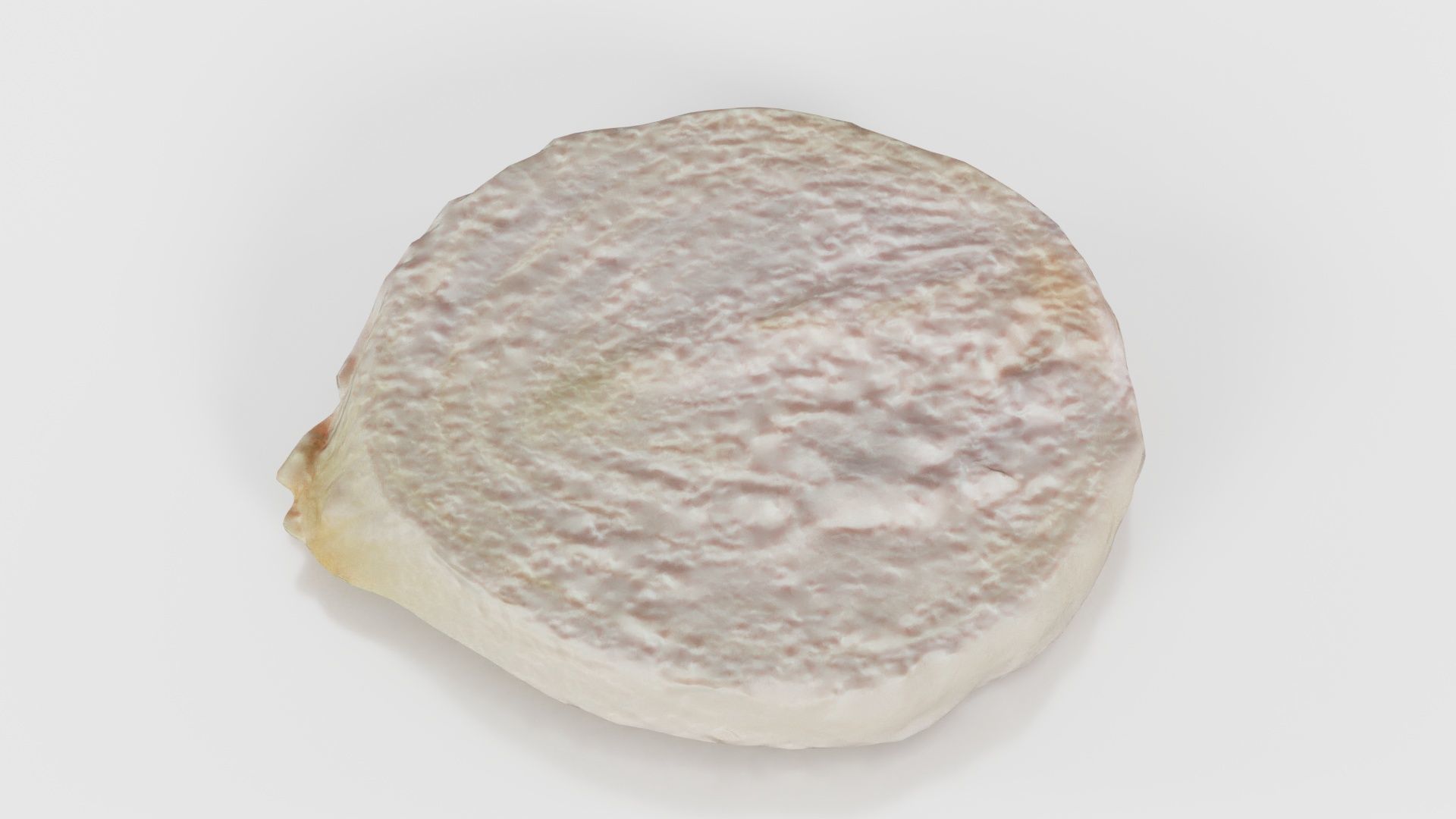 Onion Slice Low-poly 3D model_19