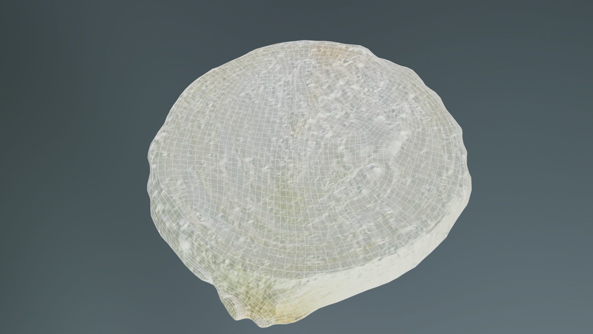 Onion Slice Low-poly 3D model_10