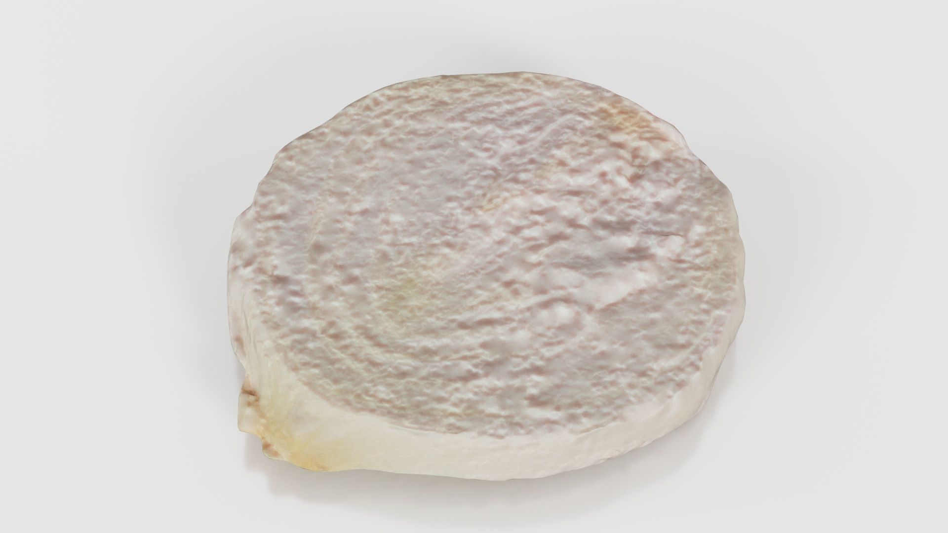 Onion Slice Low-poly 3D model_20