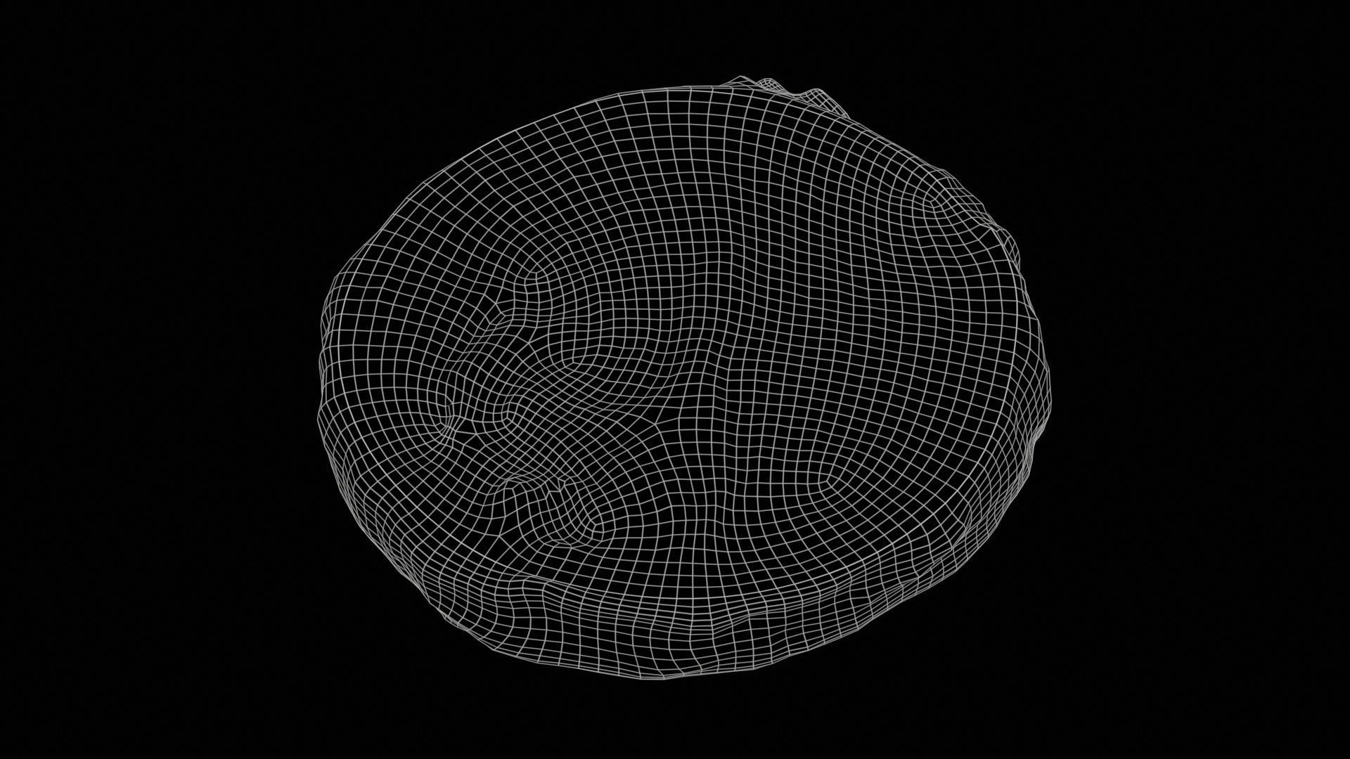 Onion Slice Low-poly 3D model_11