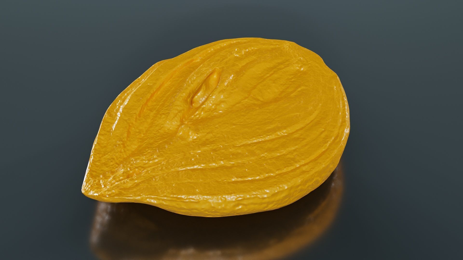 Onion Slice Baked Low-poly 3D model_13