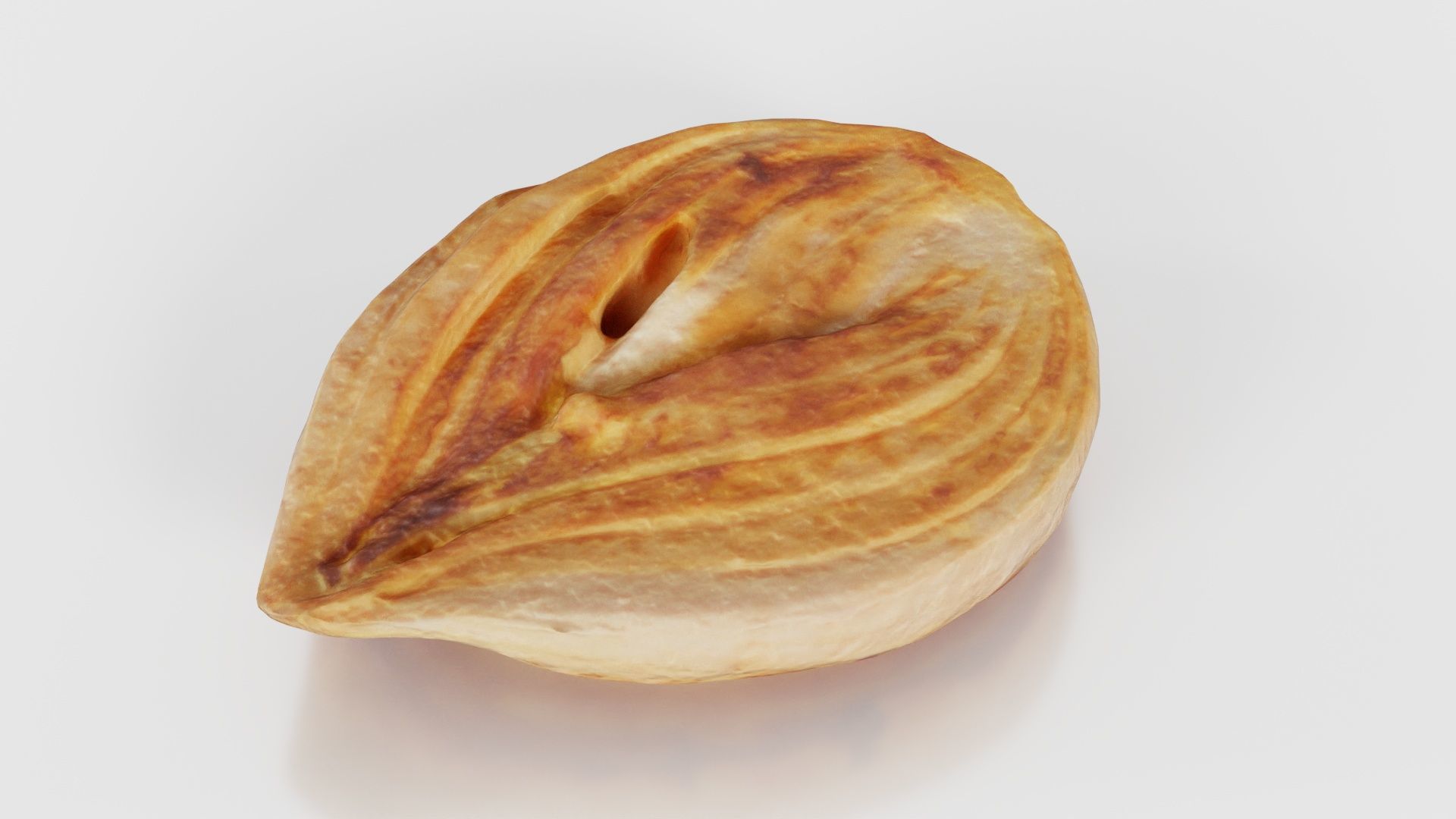 Onion Slice Baked Low-poly 3D model_21
